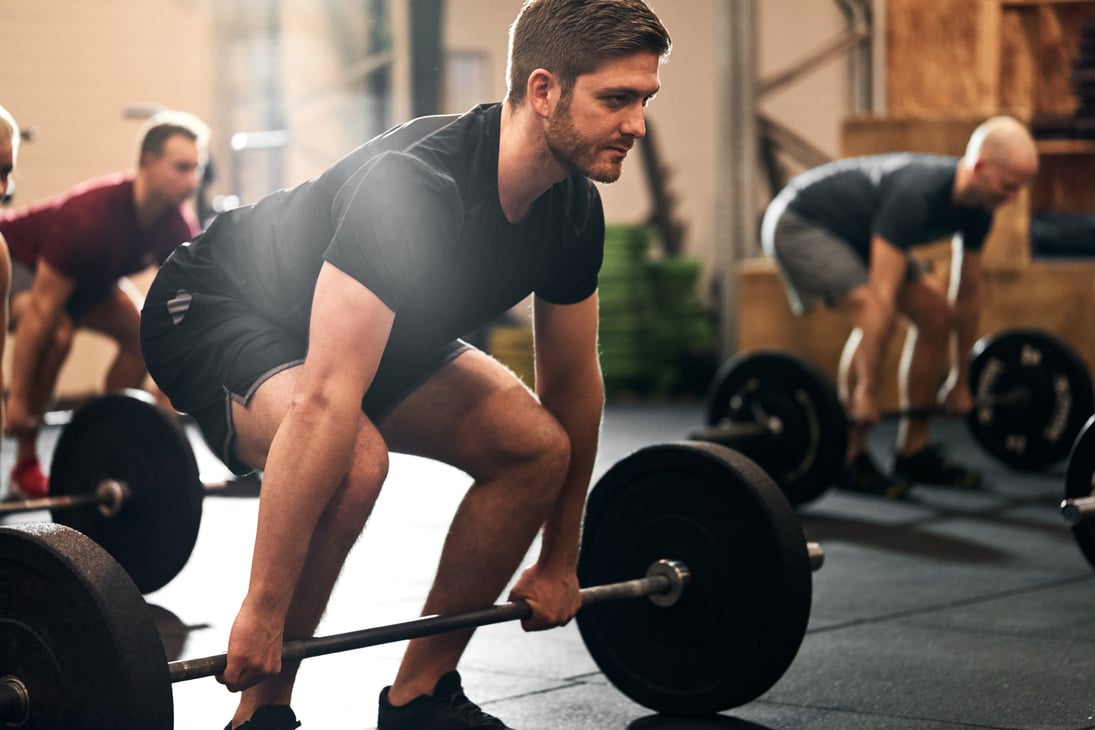 Young Man Lifting Weights in the Gym 